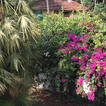 2Bhk Pool Facing Beachside Luxury Homestay In South Goa Betalbatim Exterior foto